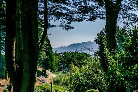 391 Loring Ave, Mill Valley, CA 94941 photo 18
