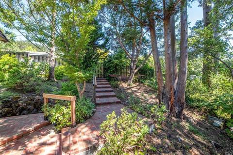 627 Laguna Rd, Mill Valley, CA 94941 photo 4