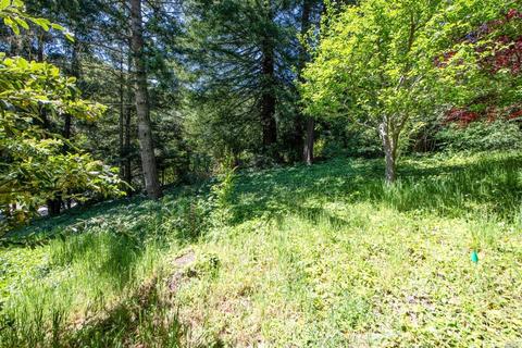 627 Laguna Rd, Mill Valley, CA 94941 photo 38
