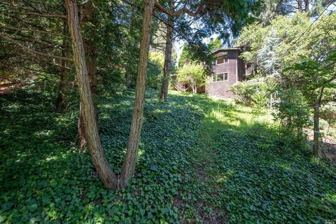 627 Laguna Rd, Mill Valley, CA 94941 photo 39