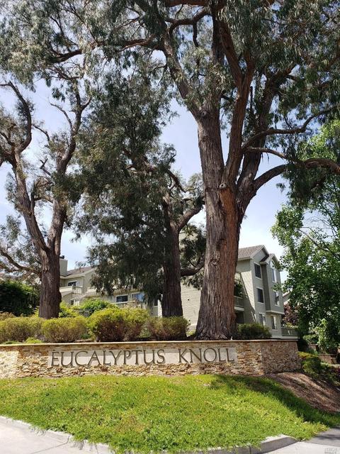 26 Eucalyptus Knoll St, Mill Valley, CA 94941 photo 2