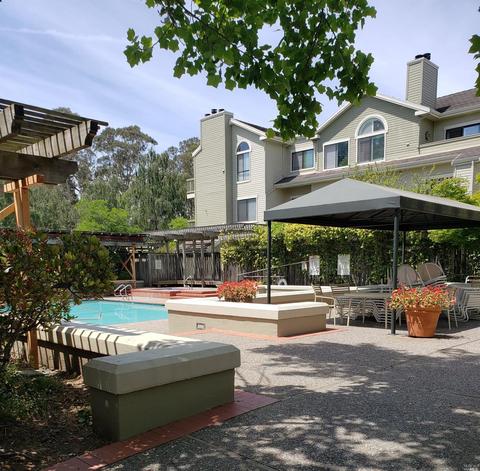 26 Eucalyptus Knoll St, Mill Valley, CA 94941 photo 26