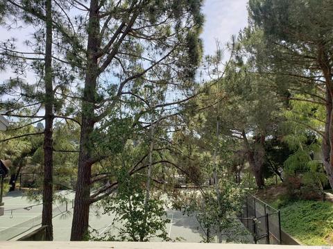 26 Eucalyptus Knoll St, Mill Valley, CA 94941 photo 23