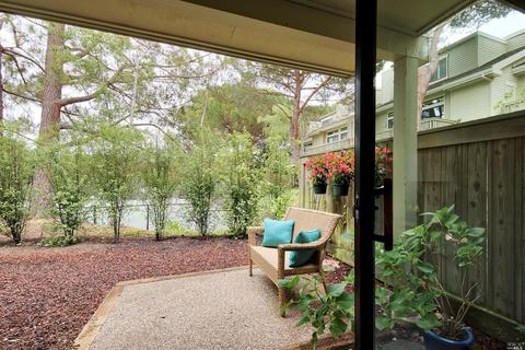26 Eucalyptus Knoll St, Mill Valley, CA 94941 photo 21