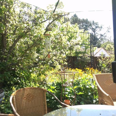 204 Mountain View Ave, Vallejo, CA 94590 photo 7