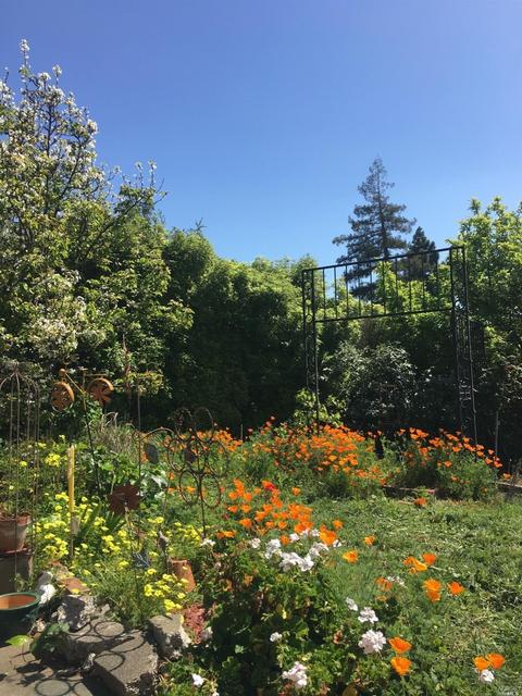 204 Mountain View Ave, Vallejo, CA 94590 photo 3
