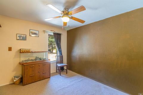 16250 Bluejay Ln, Willits, CA 95490 photo 21