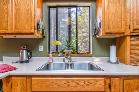 16250 Bluejay Ln, Willits, CA 95490 photo 11