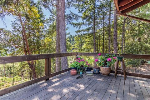 16250 Bluejay Ln, Willits, CA 95490 photo 25