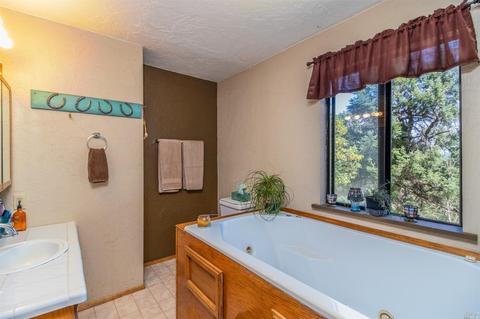 16250 Bluejay Ln, Willits, CA 95490 photo 18