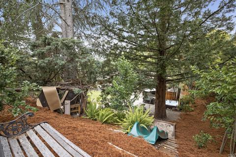 56 Esmeyer Dr, San Rafael, CA 94903 photo 45