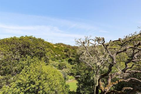 384 Carrera Dr, Mill Valley, CA 94941 photo 21