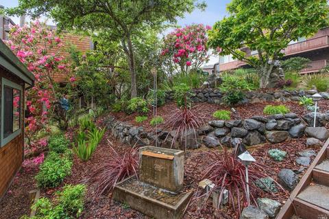 384 Carrera Dr, Mill Valley, CA 94941 photo 48