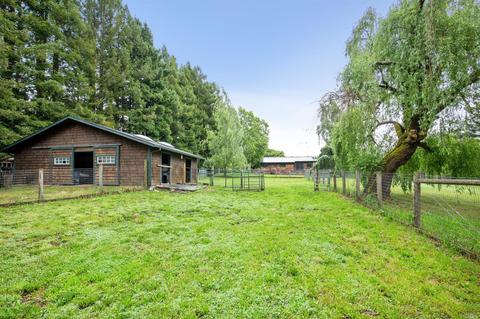 421 Sexton St, Sebastopol, CA 95472 photo 27