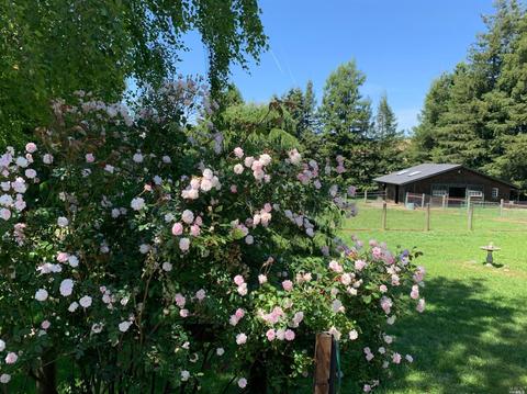 421 Sexton St, Sebastopol, CA 95472 photo 22