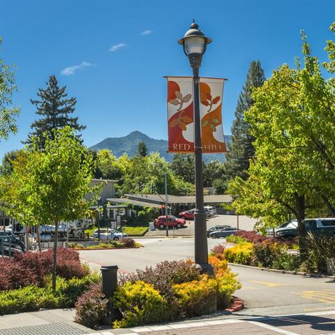 10 Brookside Dr, San Anselmo, CA 94960 photo 47