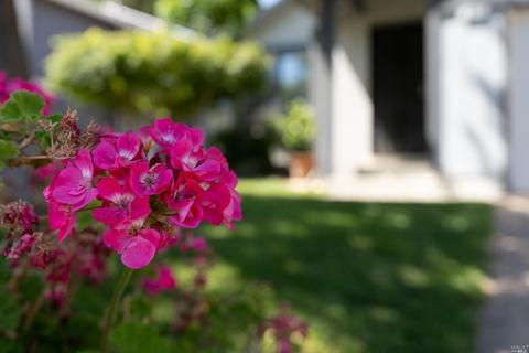 813 Pulteney Pl, Windsor, CA 95492 photo 22