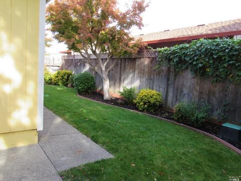 375 Evans Ave, Sonoma, CA 95476 photo 27