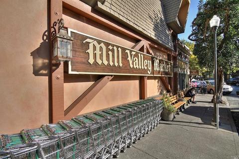 19 Mountain View Ave, Mill Valley, CA 94941 photo 30