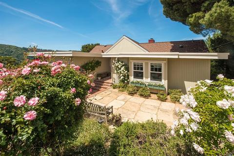457 Wellesley Ave, Mill Valley, CA 94941 photo 24