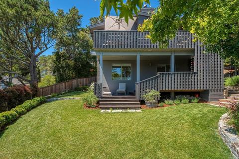 313 Sheffield Ave, Mill Valley, CA 94941 photo 16