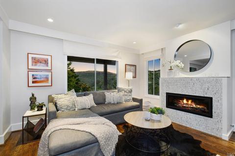 313 Sheffield Ave, Mill Valley, CA 94941 photo 11