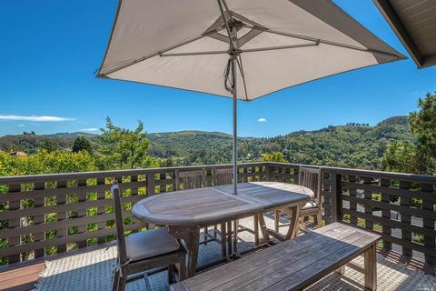 313 Sheffield Ave, Mill Valley, CA 94941 photo 19