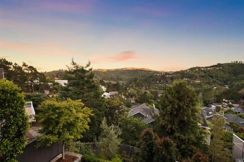 313 Sheffield Ave, Mill Valley, CA 94941 photo 20