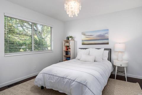 313 Sheffield Ave, Mill Valley, CA 94941 photo 5