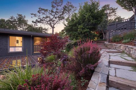 313 Sheffield Ave, Mill Valley, CA 94941 photo 23