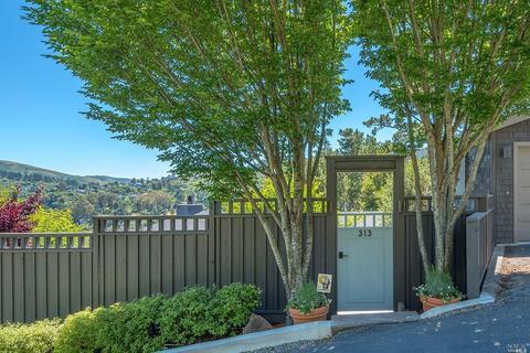 313 Sheffield Ave, Mill Valley, CA 94941 photo 24