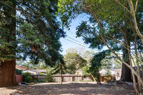 742 Laurel St, Vallejo, CA 94591 photo 19