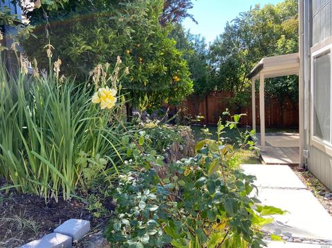 53 Bayview Ter, Mill Valley, CA 94941 photo 22