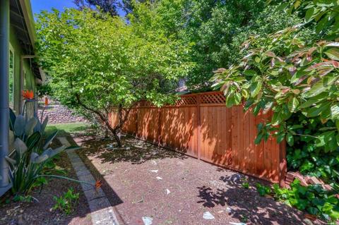 53 Bayview Ter, Mill Valley, CA 94941 photo 38