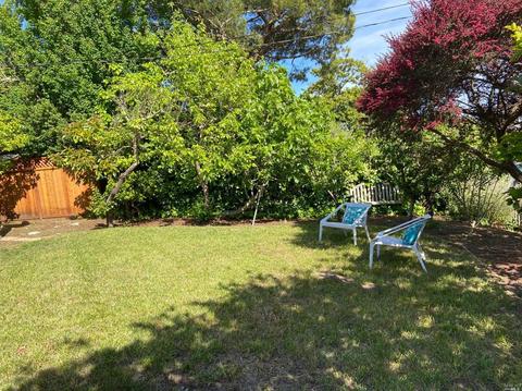 53 Bayview Ter, Mill Valley, CA 94941 photo 36