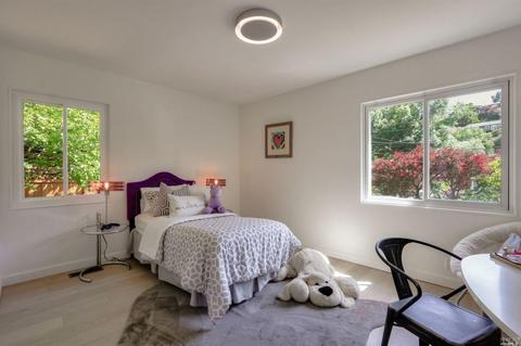 53 Bayview Ter, Mill Valley, CA 94941 photo 18