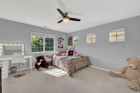 2438 Wolf Glen Pl, Fairfield, CA 94534 photo 39