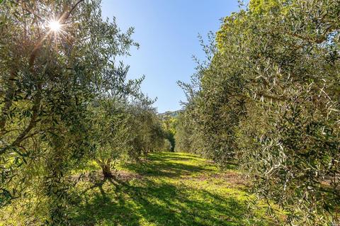 2002 Mcnab Ranch Rd, Ukiah, CA 95482 photo 45