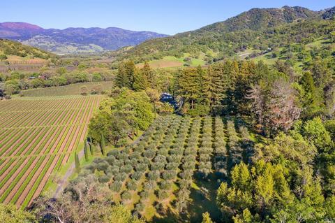 2002 Mcnab Ranch Rd, Ukiah, CA 95482 photo 46