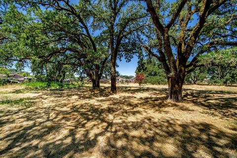 1046 Gumview Rd, Windsor, CA 95492 photo 20