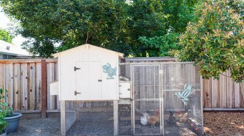 8437 Lasalle Ave, Cotati, CA 94931 photo 27