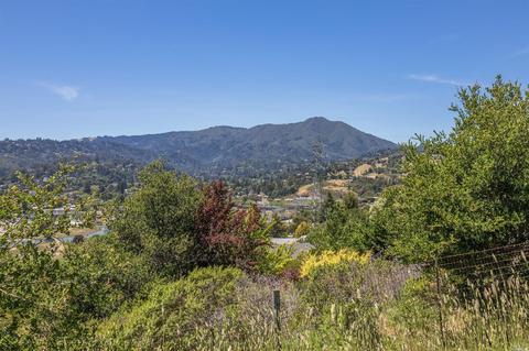 10 Byron Cir, Mill Valley, CA 94941 photo 22