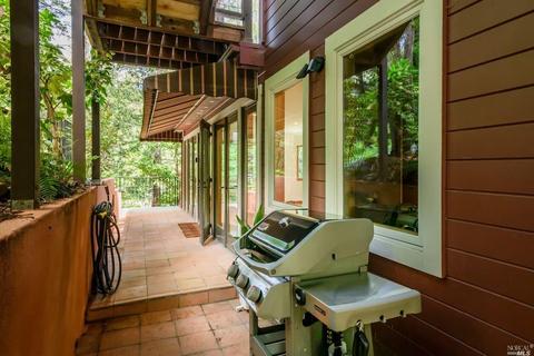 30 Rose Ave, Mill Valley, CA 94941 photo 22