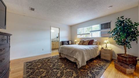 429 Ely Blvd S, Petaluma, CA 94954 photo 24