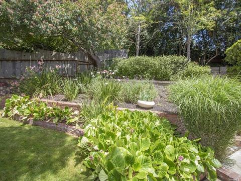 61 Bayview Ter, Mill Valley, CA 94941 photo 30