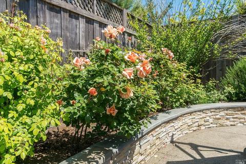 20 Estrada Ln, Corte Madera, CA 94925 photo 27
