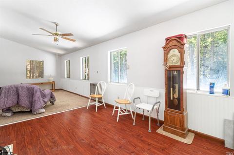 29001 Otter Ct, Willits, CA 95490 photo 23