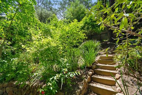 405 Marion Ave, Mill Valley, CA 94941 photo 38