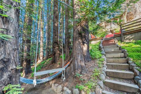 405 Marion Ave, Mill Valley, CA 94941 photo 37