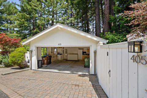 405 Marion Ave, Mill Valley, CA 94941 photo 40